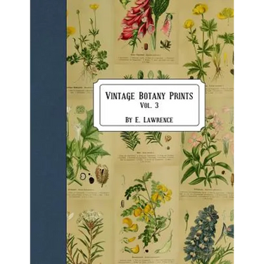 Vintage Botany Prints: Vol. 3