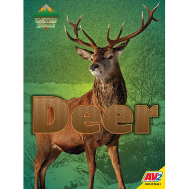 Deer