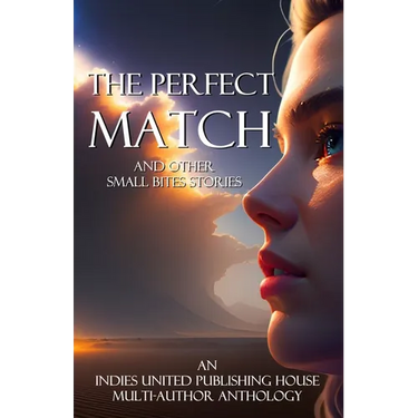 The Perfect Match: and other small bites stories