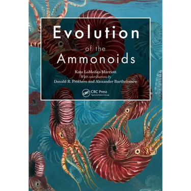 Evolution of the Ammonoids