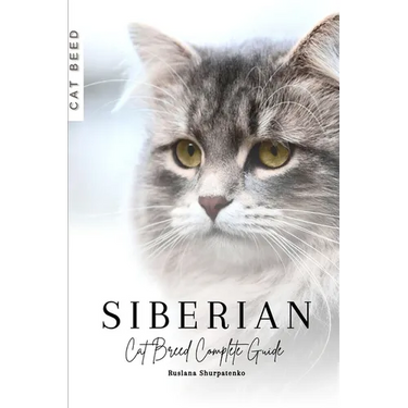 Siberian: Cat Breed Complete Guide