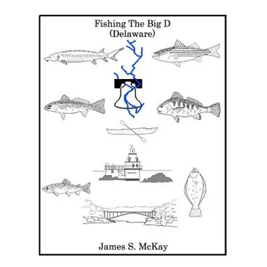 Fishing The Big D: For the fisherman who wants to know more about the Delaware River and the fish that inhabit it.