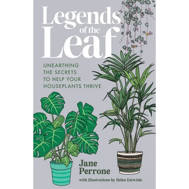 Legends of the Leaf: Unearthing the secrets to help your houseplants thrive