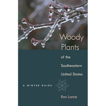 Woody Plants of the Southeastern United States: A Winter Guide