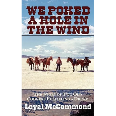 We Poked a Hole in the Wind