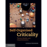 Self-Organised Criticality