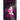 The Fourth Wife