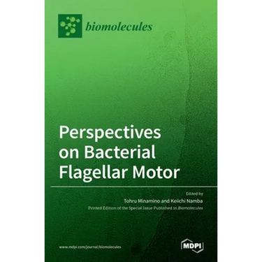 Perspectives on Bacterial Flagellar Motor