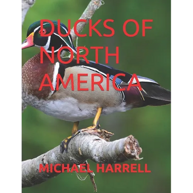 Ducks of North America