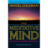 The Meditative Mind: The Varieties of Meditative Experience