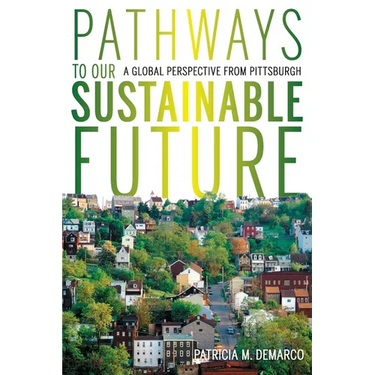 Pathways to Our Sustainable Future: A Global Perspective from Pittsburgh
