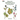 Favorite Wildflowers Coloring Book