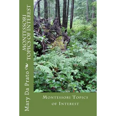 Montessori Topics of Interest