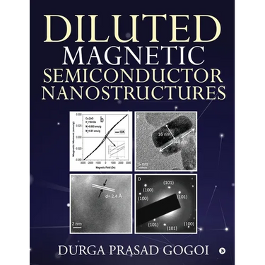 Diluted Magnetic Semiconductor Nanostructures