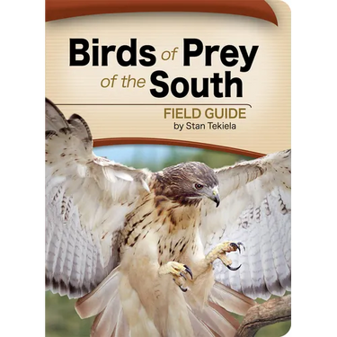 Birds of Prey of the South Field Guide