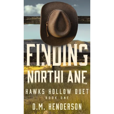 Finding Northlane: A MUST-READ heartfelt and steamy strangers-to-lovers, small-town, single dad, age gap, cowboy romance