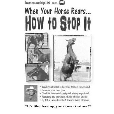 When Your Horse Rears: How to Stop It