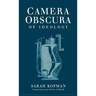 Camera Obscura: An Archeological Survey from the Paleolithic to the Iron Age