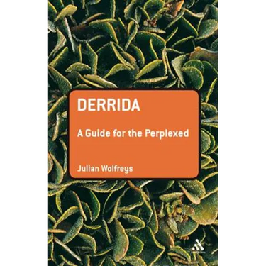 Derrida: A Guide for the Perplexed