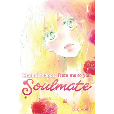Kimi Ni Todoke: From Me to You: Soulmate, Vol. 1