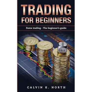 Trading For Beginners: Forex Trading: The Beginner's Guide (Forex, Forex for Beginners, Make Money Online, Currency Trading, Foreign Exchange