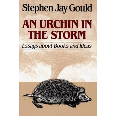 Urchin in the Storm: Essays about Books and Ideas