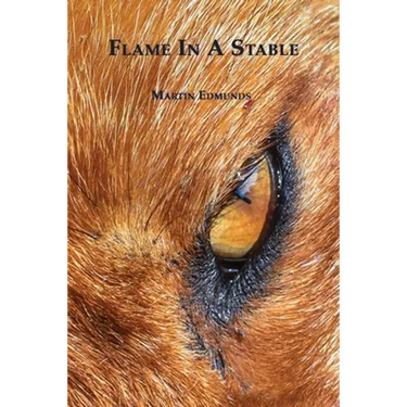 Flame in a Stable