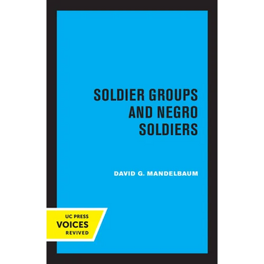 Soldier Groups and Negro Soldiers