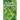 Silvan Leaves