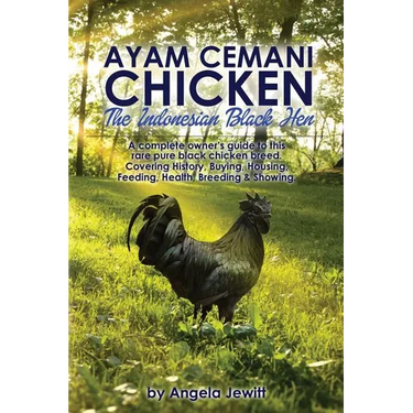 Ayam Cemani Chicken - The Indonesian Black Hen. A complete owner's guide to this rare pure black chicken breed. Covering History, Buying, Housing, Fee