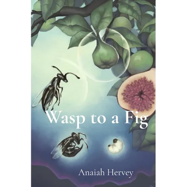 Wasp to a Fig