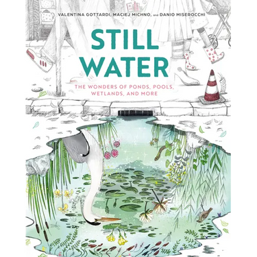 Still Water: The Wonders of Ponds, Pools, Wetlands, and More