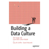 Building a Data Culture: The Usage and Flow Data Culture Model