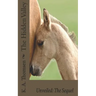 The Hidden Valley Unveiled: The Sequel