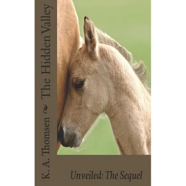 The Hidden Valley Unveiled: The Sequel