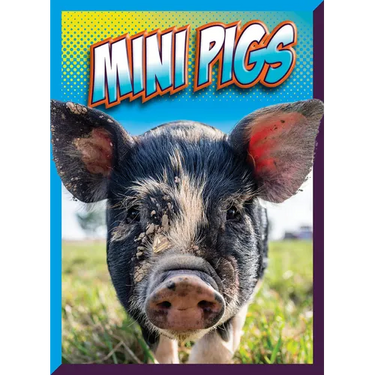 Mini Pigs