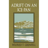 Adrift on an Ice-Pan