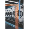 Small Laundry Operations: Operating a small scale commercial laundry.