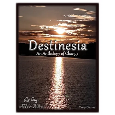 Destinesia: An Anthology of Change