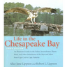 Life in the Chesapeake Bay