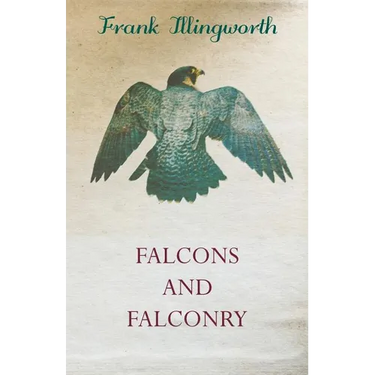Falcons and Falconry
