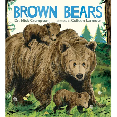 Brown Bears