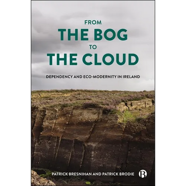 From the Bog to the Cloud: Dependency and Eco-Modernity in Ireland