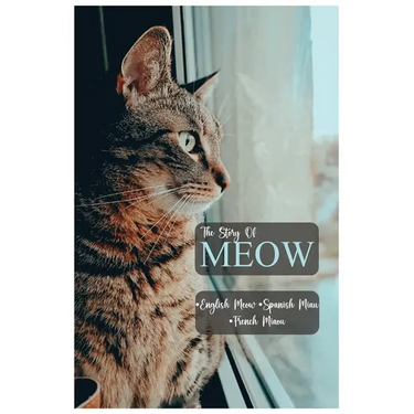 Meow the story of Meow