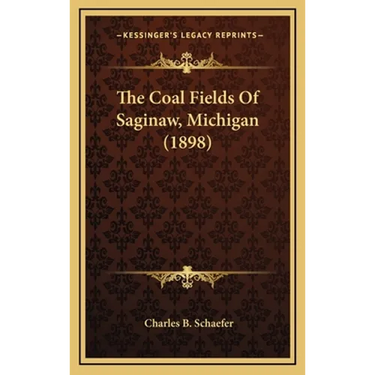 The Coal Fields Of Saginaw, Michigan (1898)