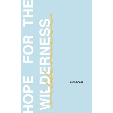 Hope for the Wilderness: Through all the Pain to all the Promise