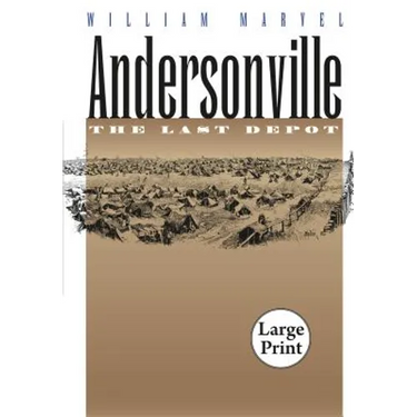 Andersonville: The Last Depot