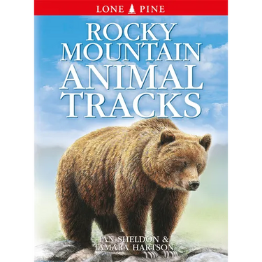 Rocky Mountain Animal Tracks