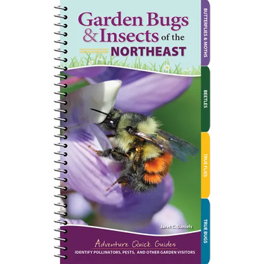 Garden Bugs & Insects of the Northeast: Identify Pollinators, Pests, and Other Garden Visitors