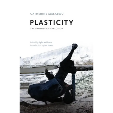 Plasticity: The Promise of Explosion